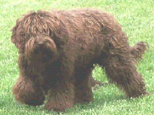 aiden2.gif